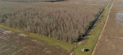 Riverfront Property in Bowie County, Texas