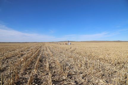 Farm and Ranch in Phillips County, Colorado