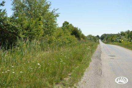 Timberland Property in Jefferson County, Illinois