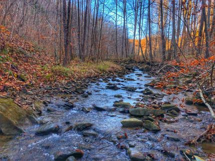 Undeveloped Land in Knox County, Kentucky