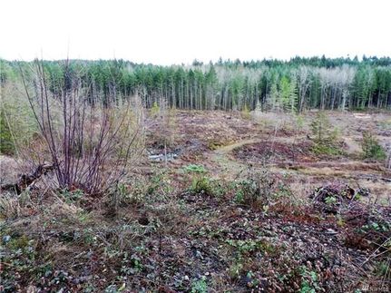 Undeveloped Land in Pierce County, Washington
