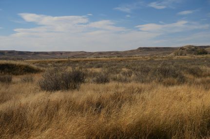Farm and Ranch in Campbell County, Wyoming