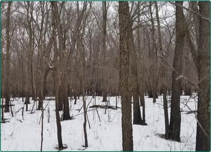 Land in Buchanan County, Iowa