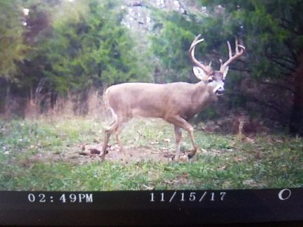 Land in Howell County, Missouri