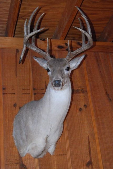 Farm and Ranch in McCulloch County, Texas