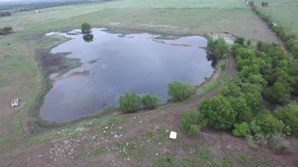 Land in Milam County, Texas