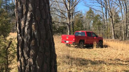 Undeveloped Land in Taney County, Missouri