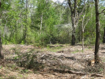 Farm and Ranch in Anderson County, Texas