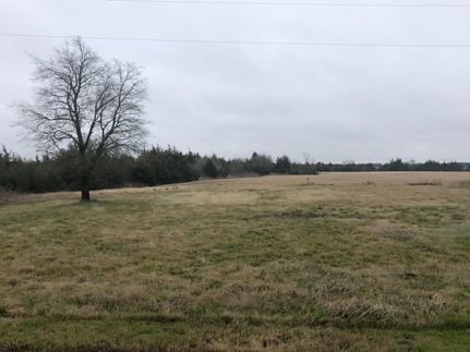 Undeveloped Land in Lamar County, Texas