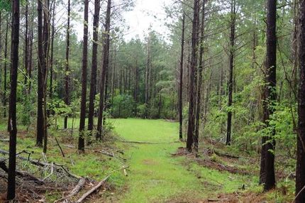 Timberland Property in Simpson County, Mississippi