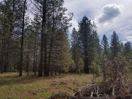 Undeveloped Land in Bonner County, Idaho