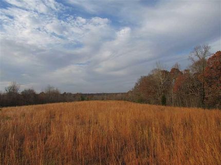 Timberland Property in Carroll County, Tennessee
