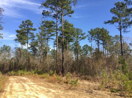 Recreational Property in Marion County, Georgia