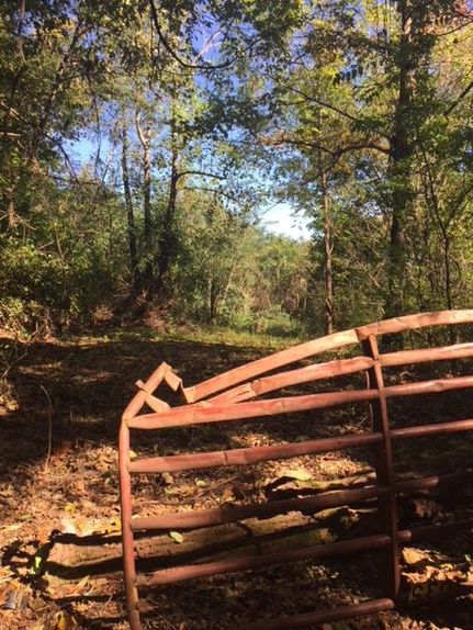 Farm and Ranch in Knox County, Tennessee