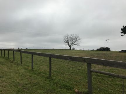 Recreational Property in Austin County, Texas