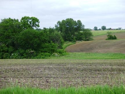 Undeveloped Land in Monroe County, Iowa
