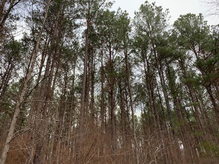 Farm and Ranch in Bibb County, Alabama