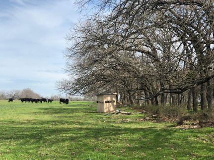 Undeveloped Land in Falls County, Texas