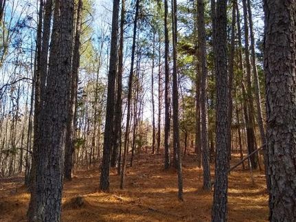 Timberland Property in Fairfield County, South Carolina