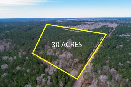 Undeveloped Land in San Jacinto County, Texas