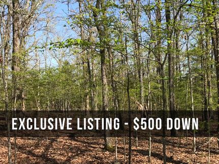 Undeveloped Land in Taney County, Missouri