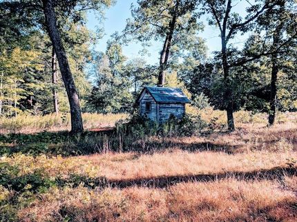 Timberland Property in Chippewa County, Wisconsin