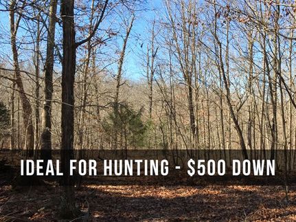 Undeveloped Land in Howell County, Missouri