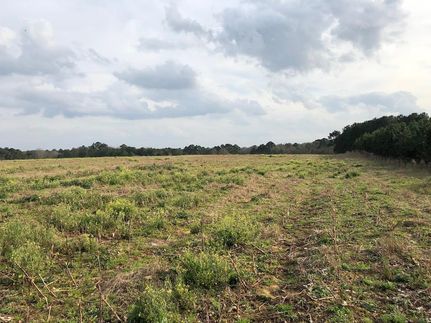 Recreational Property in Coffee County, Alabama