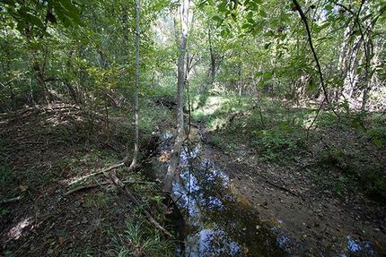 Hunting Property in Burke County, Georgia