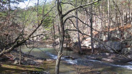 Timberland Property in Pushmataha County, Oklahoma