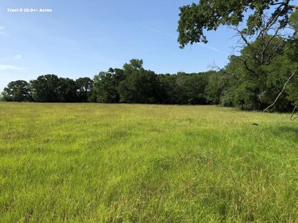 Timberland Property in Milam County, Texas
