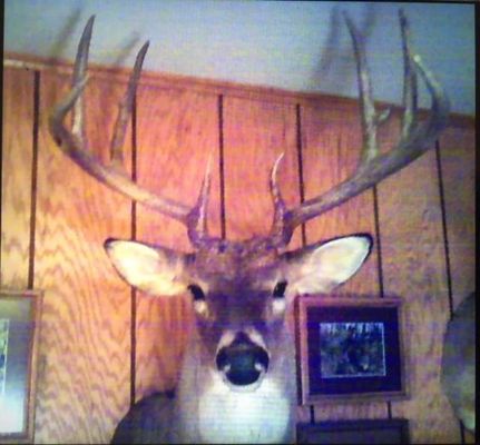 Timberland Property in Wayne County, Illinois