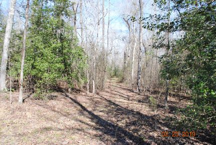 Recreational Property in Jefferson County, Georgia