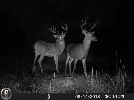 Timberland Property in Ottawa County, Oklahoma
