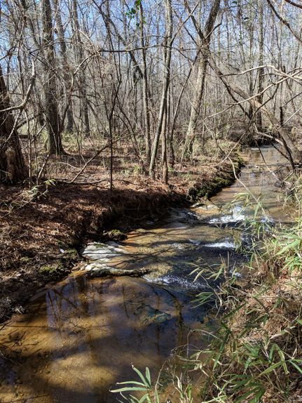 Timberland Property in Randolph County, Alabama