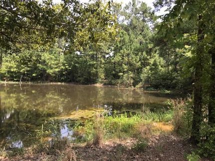 Timberland Property in Houston County, Texas