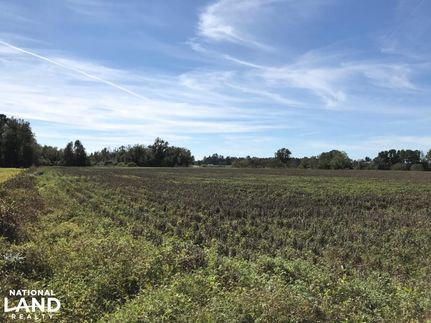 Farm and Ranch in Williamsburg County, South Carolina