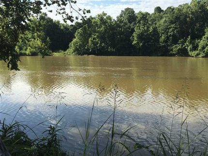 Timberland Property in Sharp County, Arkansas