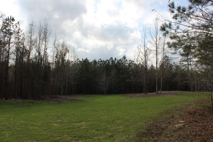 Recreational Property in Macon County, Alabama