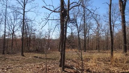 Recreational Property in Saint Clair County, Missouri