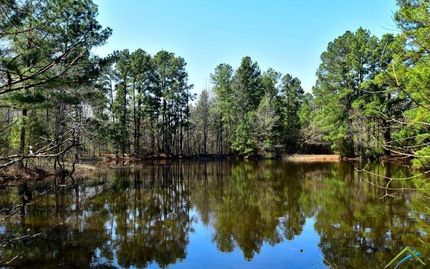 Farm and Ranch in Wood County, Texas