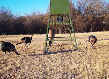 Land in Wise County, Texas