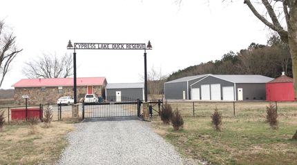 Undeveloped Land in White County, Arkansas