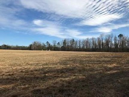 Farm and Ranch in Dillon County, South Carolina