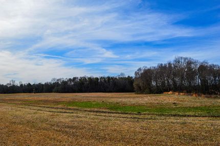 Timberland Property in Spartanburg County, South Carolina