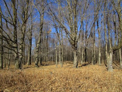 Recreational Property in Polk County, Wisconsin
