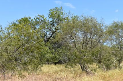 Recreational Property in Starr County, Texas
