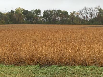 Land in Barnes County, North Dakota