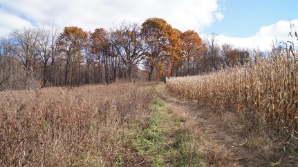 Farm and Ranch in Pierce County, Wisconsin