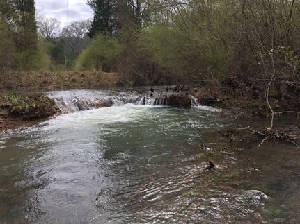 Timberland Property in Polk County, Georgia